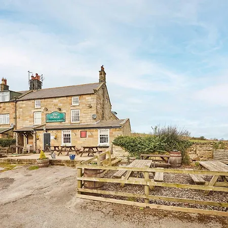 Host & - Boulby House Whitby